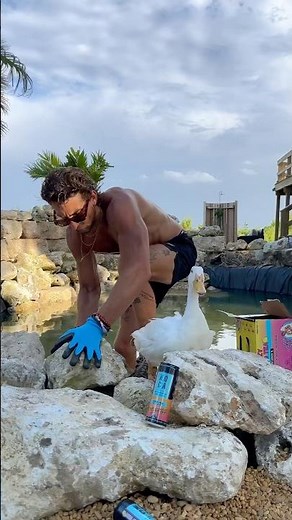 BUILDING A DUCK POND 🪿