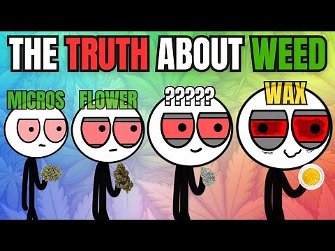 Every Weed Type Explained And Ranked