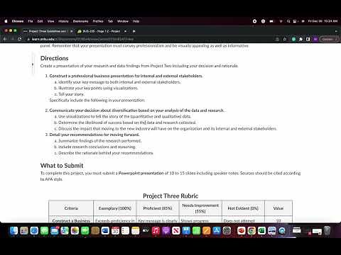 BUS 225 - Project Three Lecture