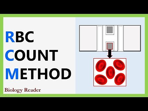 RBC Count Method - RBC, Requirements, Procedure, Observation & Calculation