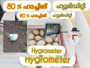 How to control humidity in Home made Incubator|Hygrometer|80% egg Hatching |Humidité de l'incubateur