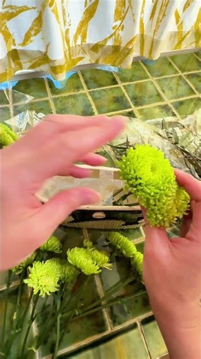 The No-Foam Flower Arrangement Method Florists Swear By