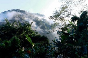 National Parks of Assam