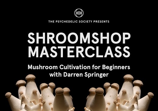 Astral Projection Course — The Psychedelic Society