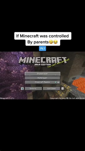 Understanding Parental Controls in Minecraft