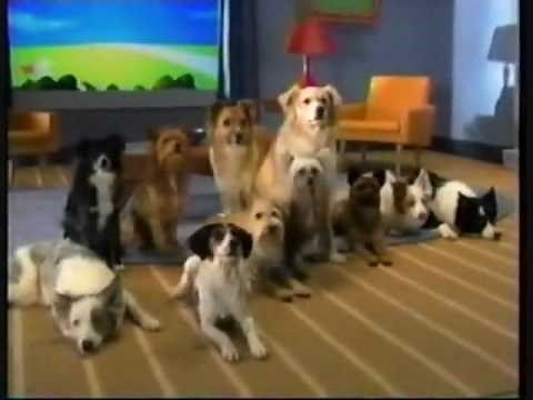 Boomerang (Intros,Promos,Commercials)