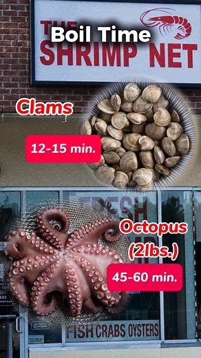Boiling time: Squid 撚, Octopus Clams & Mussels — all timed to perfection! 832-445-8021 theshrimpnet.com The Shrimp Net | Your Neighborhood Seafood Market #SeafoodBoil #CookingTips #TheShrimpNet #SeafoodLovers | The Shrimp Net | Facebook