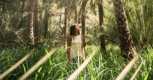 Experience Abu Dhabi | Travel and Tourism | Visit Abu Dhabi