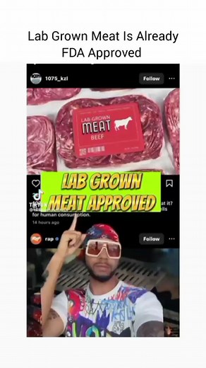 13K views · 336 reactions | Lab-grown meat isn't artificial meat....