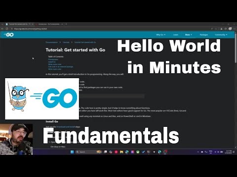 Go in 5 Minutes: Your First Hello World