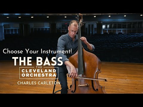 Choose Your Instrument! | Bass