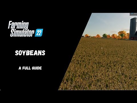 FS22 - Soybeans, A Full Guide - Farming Simulator 22