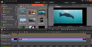 Cropping and resizing video clips - Corel Discovery Center