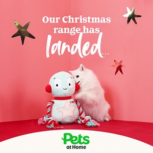 112 reactions | Our Christmas range has landed and it’s out of this world! Shop our space and robot themed treats & toys today  | Pets UK | Facebook