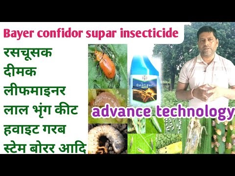 Bayer confidor super advance technology Sucking termites Leafminer beetle White grub Stem borer B...
