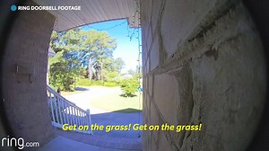 50K views · 14 reactions | Join the Ring team at Scooptacular on...