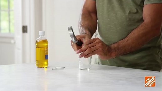 How to Get Rid of Gnats