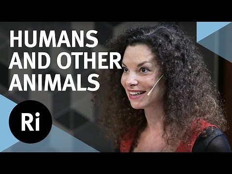 Humans and Other Animals: Cultural Evolution and Social Learning