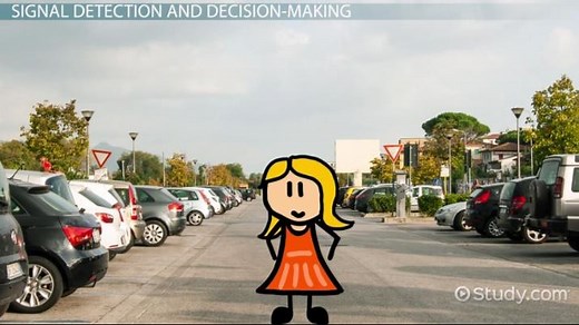 Signal Detection Theory | Definition & Examples