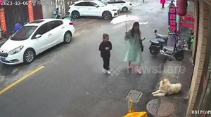 Shocking moment woman strokes pet dog before it BITES her face in China