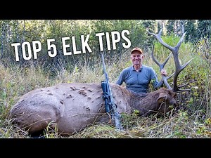 Randy’s 5 Biggest Tips for Rifle Elk Hunting Success