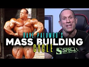 HOW DAVE PALUMBO GOT HUGE! | Mass Building Cycle (For Carbs)