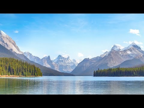 Daily Calm Live Stream: The Breathing Space