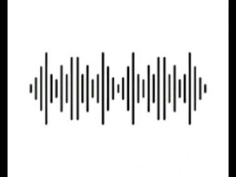 Cicadas Bug Sound Effects [Free Audio]