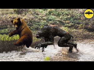 Strange Creatures Caught on Camera & Seen in Real Life.