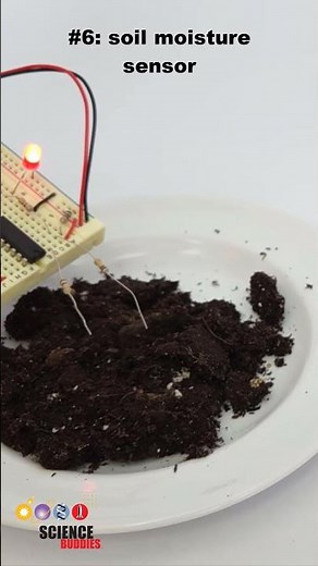 10 Fun 11th Grade Science Projects