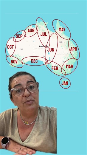 Itinéraire Road Trip Australie : Conseils pour un Voyage à Travers l'Australie