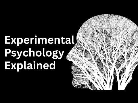 How Scientists Actually Study Your Mind (Experimental Psychology)
