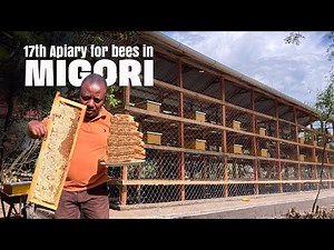 Bee-yond Borders: Kenya's Impact on Global Beekeeping
