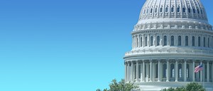 The 6 Steps to Working with the Government