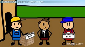 Perfect Competition | Definition, Benefits & Examples