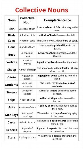 Collective Nouns, Learn Examples with Sentences | Enhance Your English Vocabulary Today!