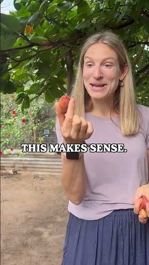 The Fascinating Process of Almond Harvesting!
