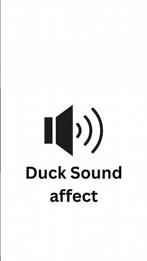 Duck sound effect #ducksquacking #ducksounds