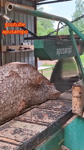 Second Cut of a Lumby, Curvy Spruce Log #apusampo #woodworking #wood