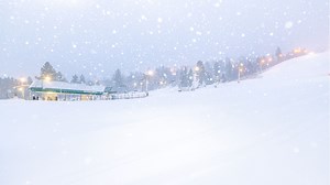 Stream Live Cams for Current Conditions | Up to 8,250 Feet