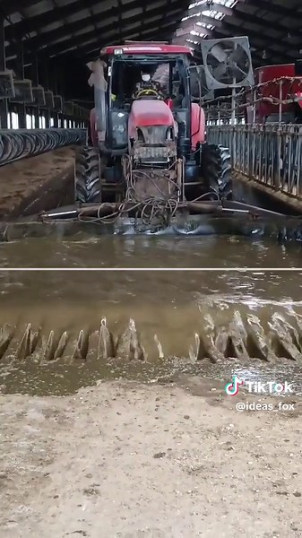 Video của ideas_fox (@ideas_fox) với bản nhạc Journey of the Falling Leaf - Sister Yost