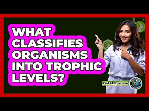 What Classifies Organisms Into Trophic Levels?