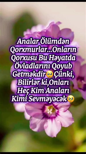 Anaların Övladlarına Qarşı Qorxusu: Onları Qoyub Getmək