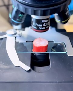 323K views · 1.2K reactions | So there's a reason why they call it 'plastic cheese'...  燎 | FOODbible | Facebook