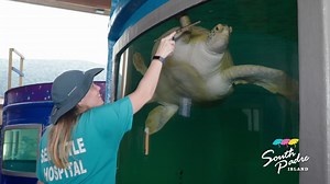 2.3K views · 1.6K reactions | Pack your bags and prepare for an unforgettable family vacation.  Whether you prefer relaxing on the beach, exciting water sports, or just exploring the area, South Padre has something for everyone. This Spring Break, plan a trip to this tropical paradise on the Texas Gulf Coast. | Visit South Padre Island | Facebook