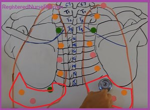 Normal Breath Sounds Audio