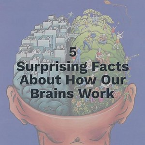 40K views · 360 reactions | These 5 facts about how your brain works might surprise you... We can all get behind #3  | Buffer | Facebook