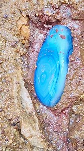 98K views · 883 reactions | This blue lace agate is like a ribbon of color emerging from the earth! The intricate layers are simply breathtaking. Have you ever found an agate with such delicate patterns? #AgateStone #BlueGem #NaturalBeauty #RockCollecting #MineralMagic | SocialSphere Central | Facebook