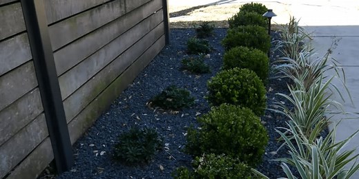 Landscaping | San Antonio, TX | ABC Home & Commercial Services