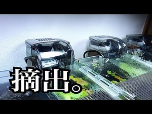 外掛けフィルターのろ材をプチ改造※概要欄必読※